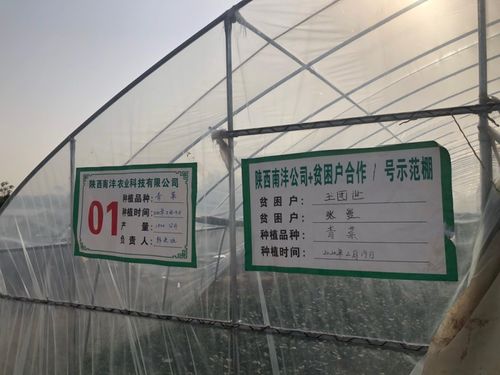 三方協(xié)同加碼，以技術(shù)轉(zhuǎn)讓與咨詢助推脫貧攻堅